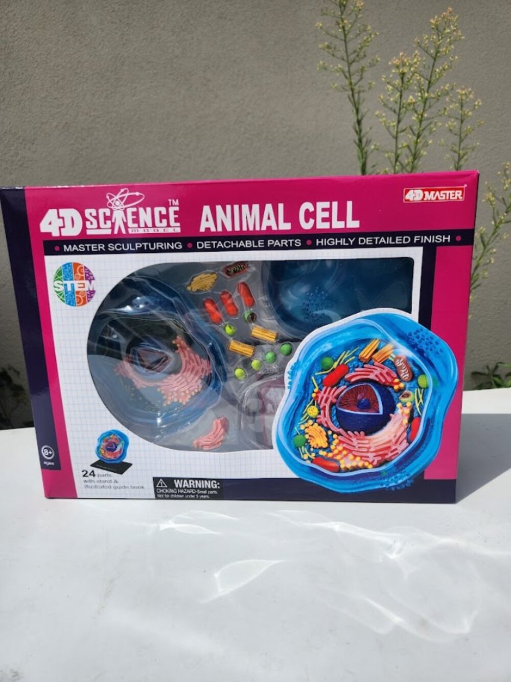4D Science Animal Cell Anatomy Model High Quality Sculpture Highly Detailed Scho